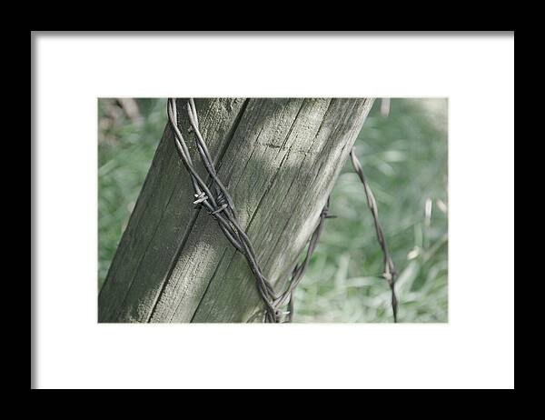 Barbwire Framed Print featuring the photograph Barbwire Shadow by Troy Stapek