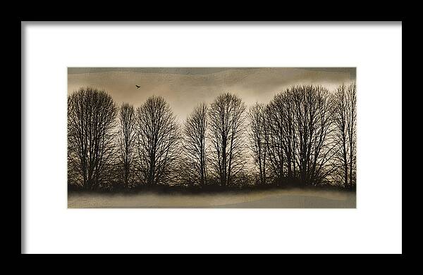 Trees Framed Print featuring the photograph Bare Bones by Robin-Lee Vieira