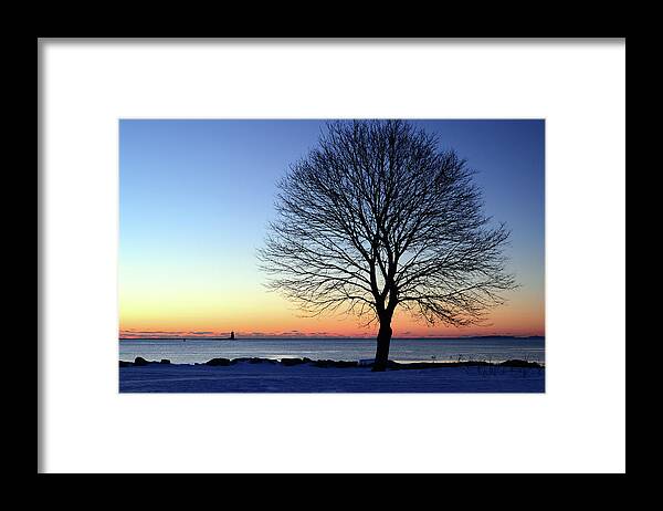 Great Framed Print featuring the photograph Bare Tree at Sunrise by James Kirkikis
