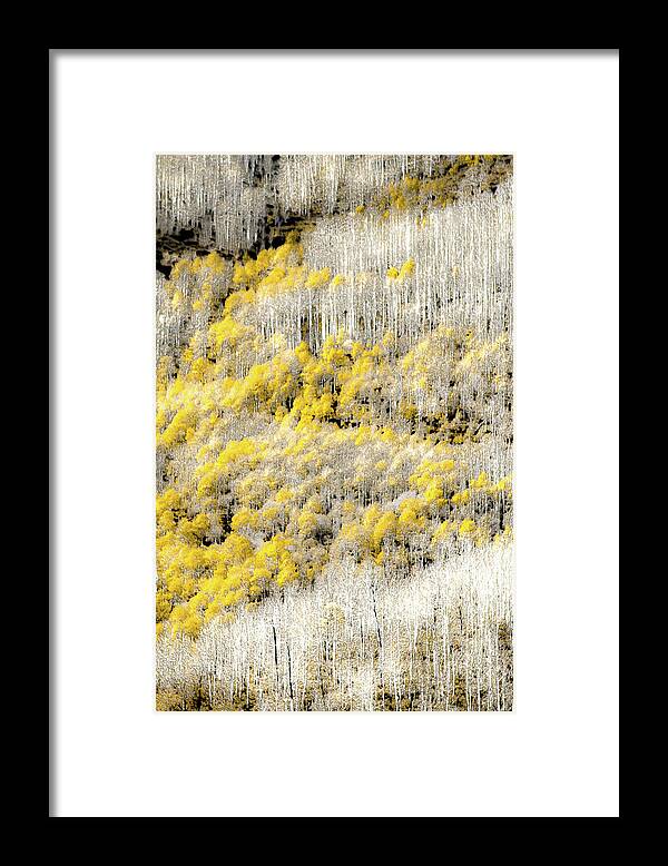 Utah Landscape Framed Print featuring the photograph Condition Yellow by Terry Walsh