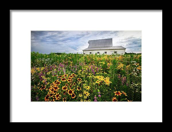 Gloriosa Daisy Framed Print featuring the photograph Barn and Wildflowers by Ron Pate