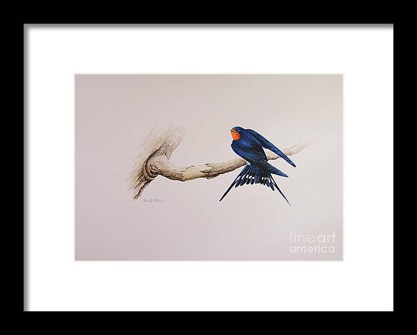 Bird Framed Print featuring the painting Barn Swallow by Charles Owens