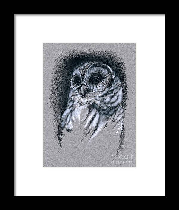 Bird Framed Print featuring the drawing Barred Owl by MM Anderson