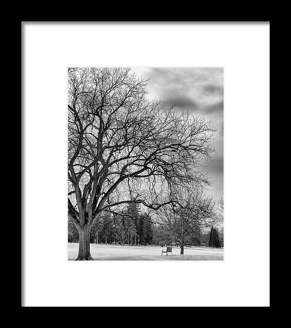 Landscape Framed Print featuring the photograph Winter in Cheesman Park, Denver, CO empty trees and empty benches by Philip Rodgers