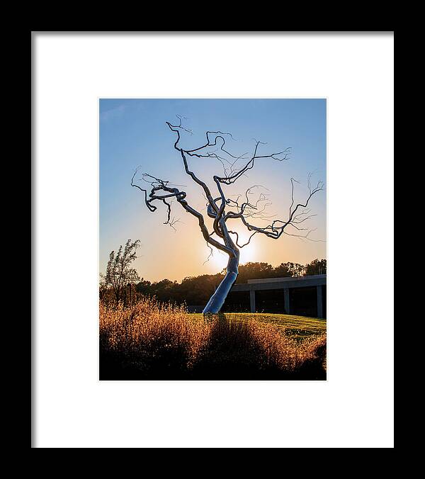 Tree Sunrise Framed Print featuring the photograph Barren Light - Crystal Bridges Museum of American Art by Gregory Ballos