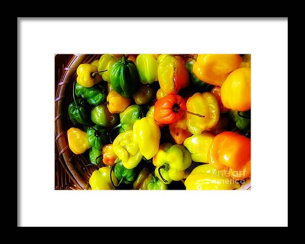 Basket Framed Print featuring the photograph Basketful of Hotties by RC DeWinter