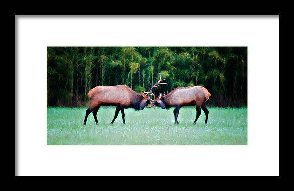 Boxley Valley Framed Print featuring the photograph Battling Bulls by Lana Trussell