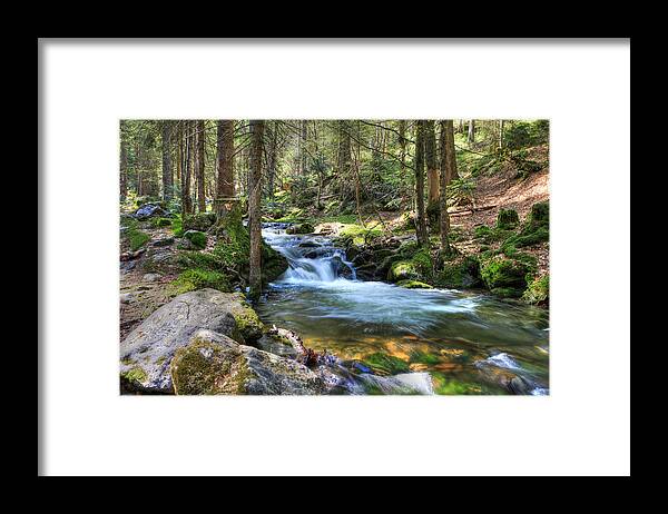Mountain Framed Print featuring the photograph Bavarian Stream by Sean Allen