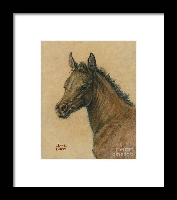 Animal Framed Print featuring the painting Bay Colt by Jane Bucci
