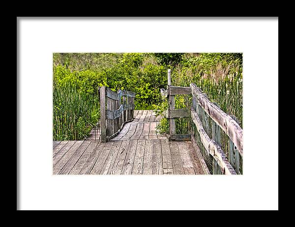 Bayou Framed Print featuring the photograph Bayou by Pat Cook