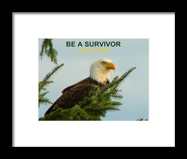 Eagles Framed Print featuring the photograph Be A Survivor with phone number by Gallery Of Hope 