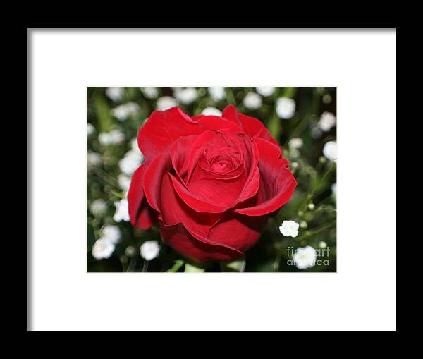 Flower Framed Print featuring the photograph Be Mine by Barbara S Nickerson