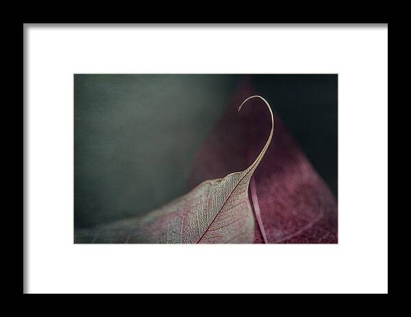 Leaves Framed Print featuring the photograph Be My Lover by Maggie Terlecki