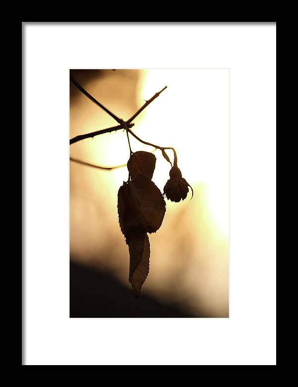 Be Still My Soul Framed Print featuring the photograph Be Still My Soul by The Art Of Marilyn Ridoutt-Greene