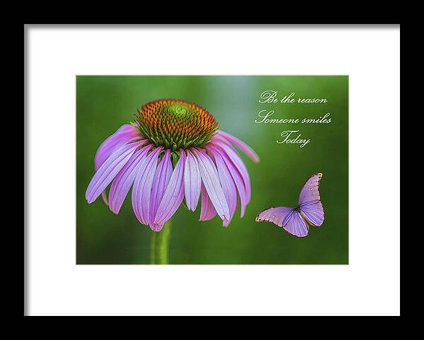 Cone Flower Framed Print featuring the photograph Be The Reason by Cathy Kovarik