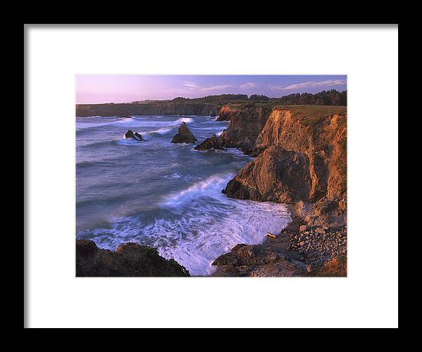 00174147 Framed Print featuring the photograph Beach At Jughandle State Reserve by Tim Fitzharris