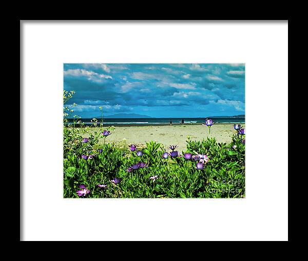 Orewa Framed Print featuring the photograph Beach Daisies by Karen Lewis