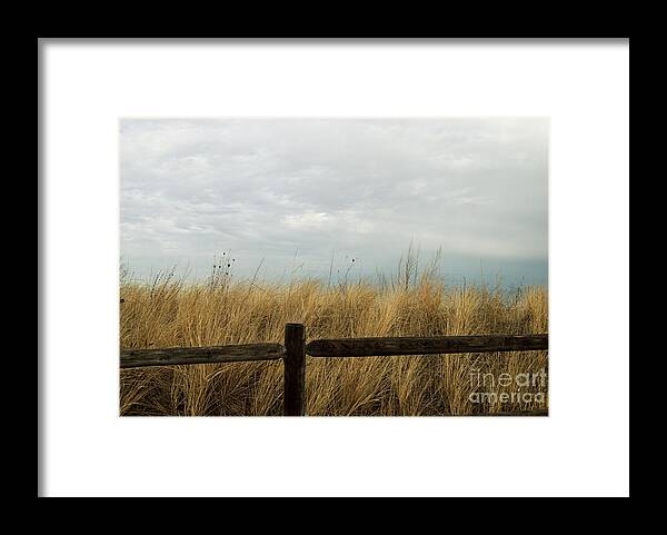 Grass Framed Print featuring the photograph Beach Grass by Eunice Miller