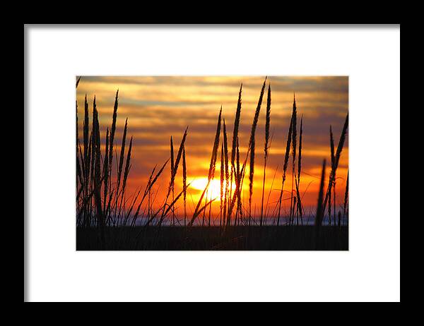 Beach Framed Print featuring the photograph Beach Grass Sunset by Scenic Edge Photography