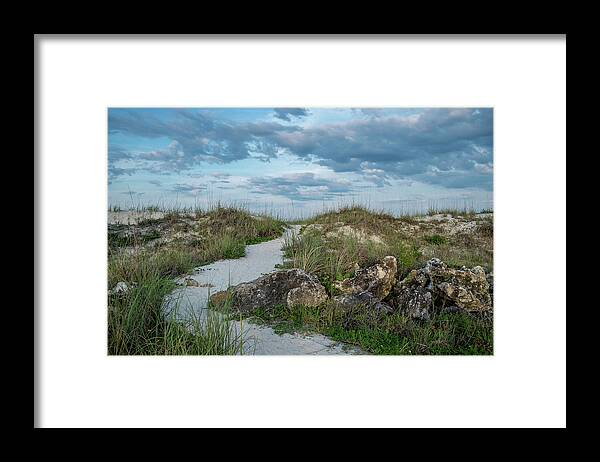 Beach Path # St. Augustine Beach # Dunes # Sea Grass # Travel Framed Print featuring the photograph Beach Path by Louis Ferreira