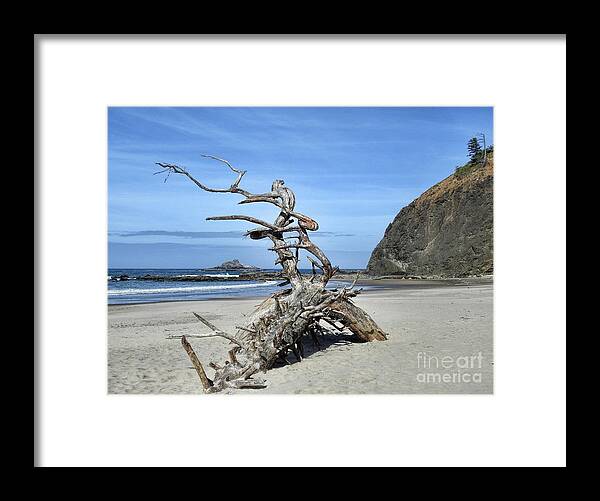 Lincoln City Framed Print featuring the photograph Beach Sculpture by Peggy Hughes