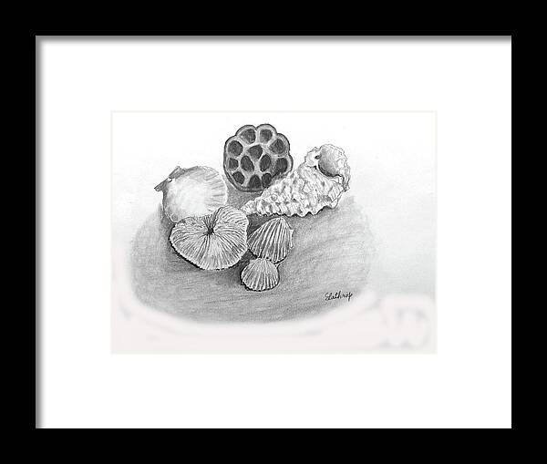 Beach Framed Print featuring the drawing Beach Treasures by Christine Lathrop