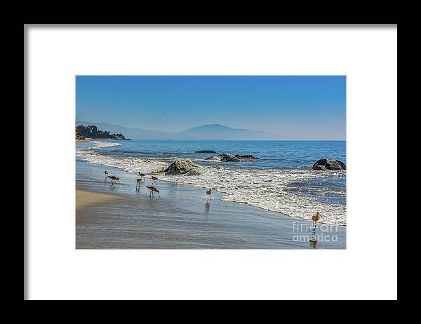 Beach Framed Print featuring the photograph Beach walk by David Meznarich