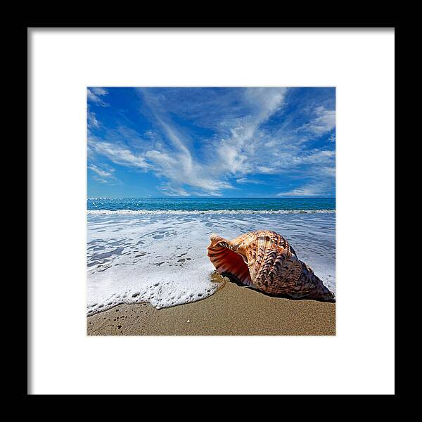 Background Framed Print featuring the photograph Beach with shell by Constantinos Iliopoulos