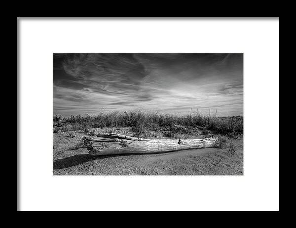 Beach Framed Print featuring the photograph Beached log at Shinnecock by Steve Gravano