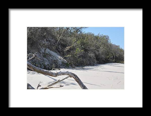 Photo. Dunes Framed Print featuring the photograph Beachwood by Eduard Meinema