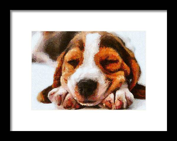 Beagle Framed Print featuring the digital art Beagle Puppy by Charmaine Zoe