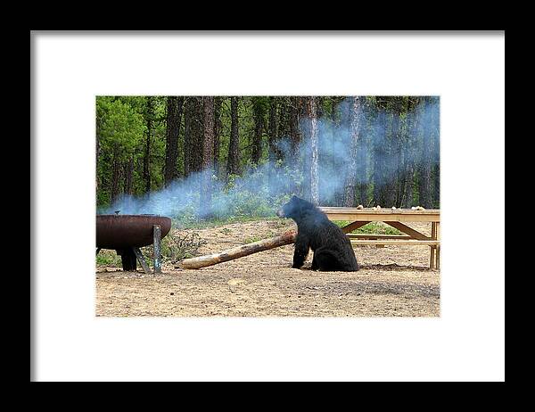 Black Framed Print featuring the photograph Bear Chef by Ted Keller