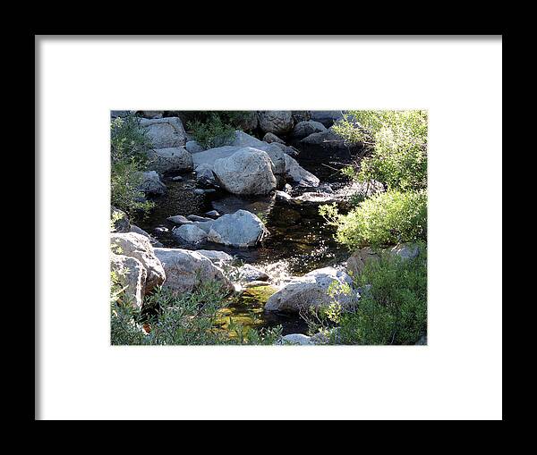 Creek Framed Print featuring the photograph Bear Creek Sun 3 by Eric Forster