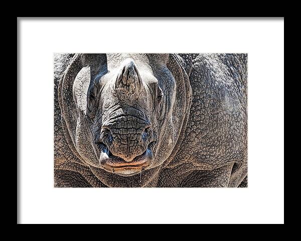 Rino Framed Print featuring the photograph Beautiful Beast by Pete Rems