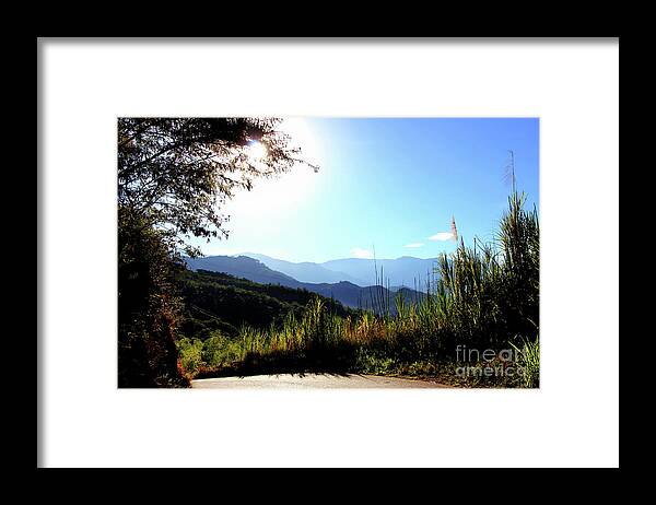 Road Framed Print featuring the photograph Beautiful Colombia Near Rio Frio by Al Bourassa