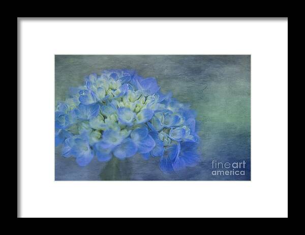 Hydrangea Framed Print featuring the photograph Beautiful in Blue by Linda Blair