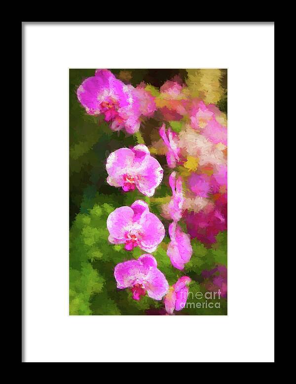 Petal Framed Print featuring the photograph Beautiful Orchids by Ed Taylor