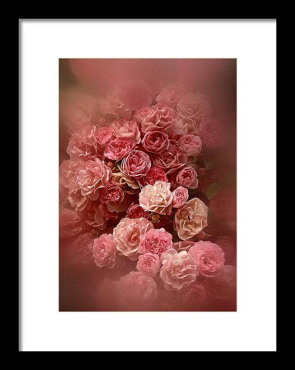 Roses Framed Print featuring the photograph Beautiful Roses 2016 by Richard Cummings