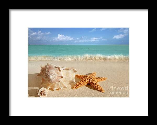Beautiful Framed Print featuring the photograph Beautiful Shell on Sand by Boon Mee