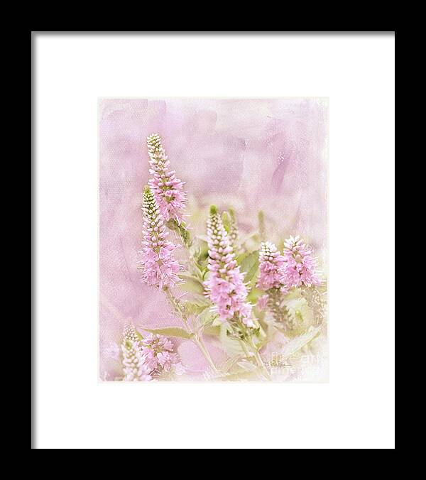 Agastache Framed Print featuring the photograph Beautilicious by Betty LaRue