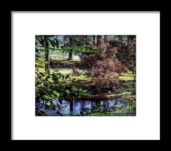 Parks Framed Print featuring the photograph Beauty by the Water by Ken Frischkorn
