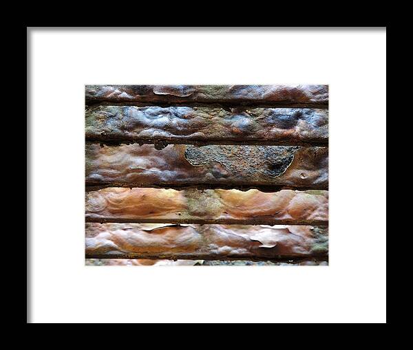 Rust Framed Print featuring the photograph Beauty In Decay - Study #1 by Vincent Green