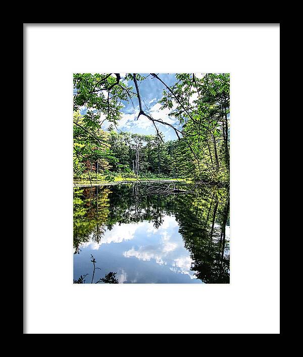 Lake Framed Print featuring the photograph Beaver Lake by Mark Sellers