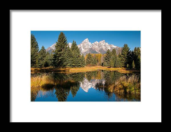 Grand Teton Framed Print featuring the photograph Beaver Pond at Schwabacher Landing by Steve Stuller