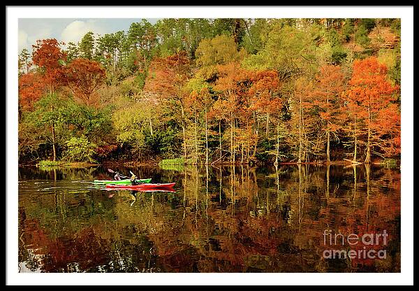 Landscape Framed Print featuring the photograph Beaver's Bend Canoeing by Tamyra Ayles
