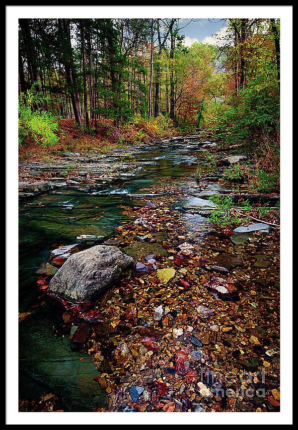 Landscape Framed Print featuring the photograph Beaver's Bend Tiny Stream Vertical by Tamyra Ayles