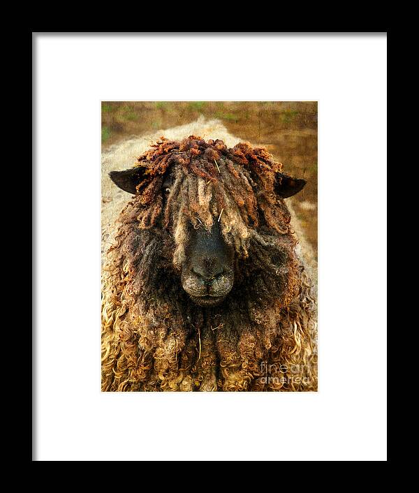 Sheep Framed Print featuring the photograph Because Ewe Are Worth It by Linsey Williams