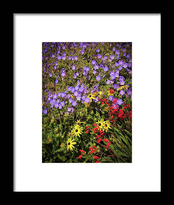Flowers Framed Print featuring the photograph Bed of flowers by Mike Penney