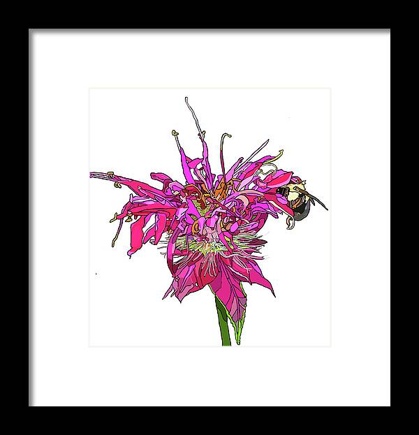 Bee Framed Print featuring the painting Bee Balm by Jamie Downs