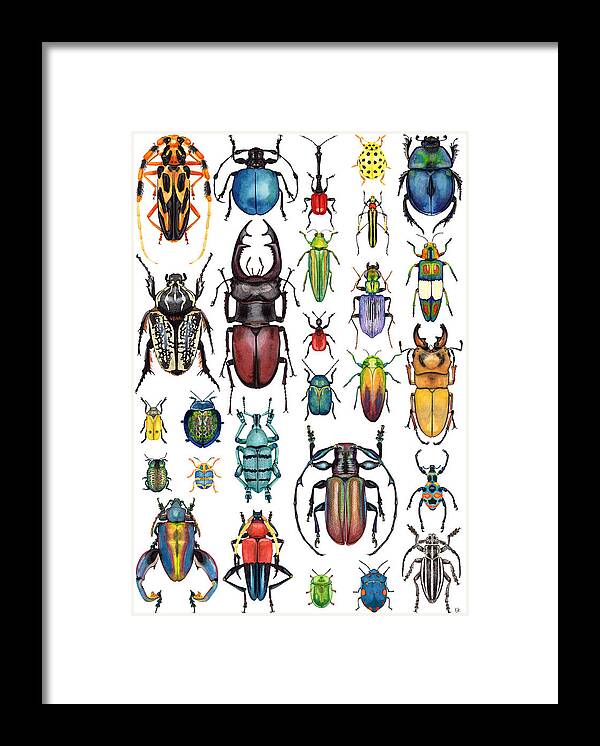 Bugs Framed Print featuring the painting Beetle Collection by Kelly King
